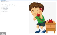 Q11.webp