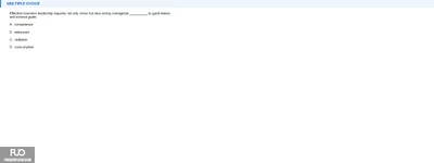 Q19.webp