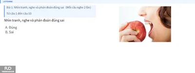Q2.webp