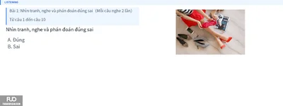 Q3.webp