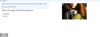 Q5.webp