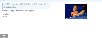Q8.webp