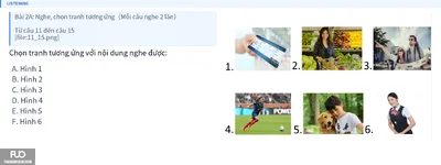 Q15.webp