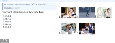 Q18.webp
