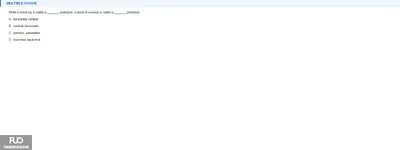 Q36.webp
