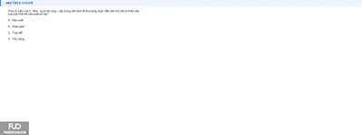Q20.webp