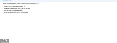 Q25.webp