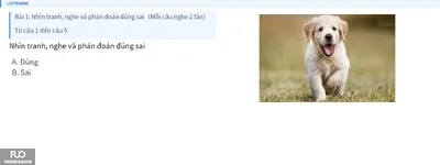 Q4.webp