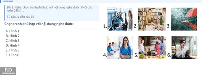 Q11.webp