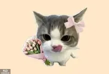 1786004888907.webp