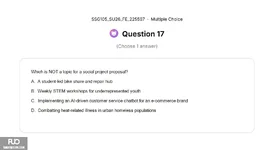17.webp