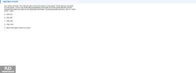 Q3.webp
