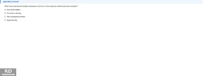 Q41.webp