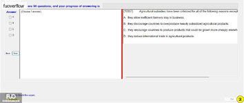 IBI101_-_FE_-_SU_2023_484.webp