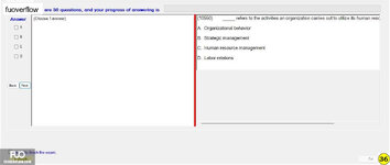 IBI101_-_FE_-_SU_2023_484.webp