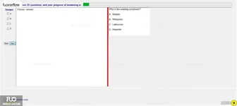 SSG104_-_3_-_FA_2023_-_FE_1058.webp