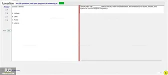 TRS601_-_F23P2_-_PT1AM_-_V_1167.webp