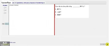CHN113_-_Q2_-_R_-_D10_1481.webp