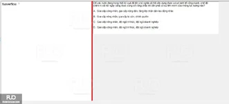 MLN131_-_SP_2024_-_FE_1628.webp