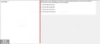 MLN131_-_SP_2024_-_FE_1628.webp