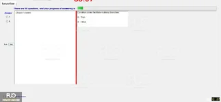 CEA201_-_2_-_SP_2024_-_FE_1684.webp