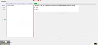 CEA201_-_2_-_SP_2024_-_FE_1684.webp