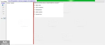 CEA201_-_SP_2024_-_RE_1778.webp