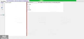 CEA201_-_SP_2024_-_RE_1778.webp