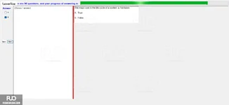 CEA201_-_SP_2024_-_RE_1778.webp