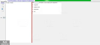 CEA201_-_SP_2024_-_RE_1778.webp