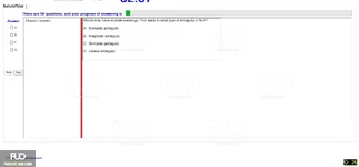 NLP301c_-_FESP24_1905.webp