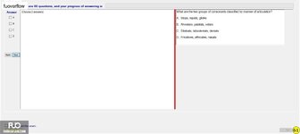 LTG202_-_SU_2023_-_RE_2024.webp
