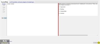 LTG202_-_SU_2023_-_RE_2024.webp