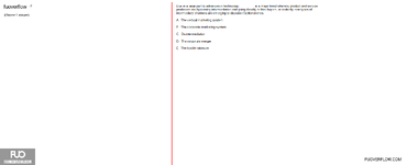 MKT101_-_SU_2024_-_FE_2286.webp