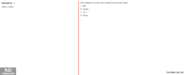 IAM302_-_SU_2024_-_FE_2337.webp