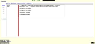 MKT201_-_SU_2024_-_FE_2393.webp