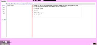 MLN131_-_SU_2024_-_RE_2510.webp