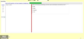 ITA203c_-_SU_2024_-_FE_2546.webp