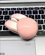 1726916391069.webp