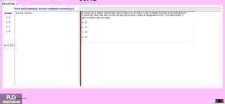 MAD101_-_FA_2024_-_FE_2995.webp