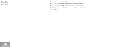 IBF301_-_FA_2024_-_RE_3098.webp