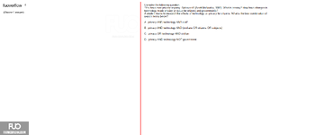 SSL101c_-_FA_2024_-_RE_3175.webp