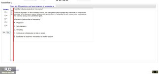 SSL101c_-_FA_2024_-_C1_-_FE_3303.webp