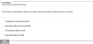 MLN122_-_SP_2025_-_BL3_-_Quiz1_3799.webp