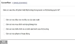MLN122_-_SP_2025_-_BL3_-_Quiz1_3799.webp