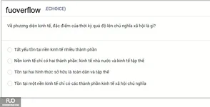 MLN131_-_SP_2025_-_BL3_-_Quiz1_3800.webp