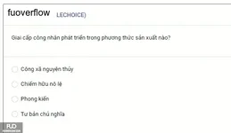 MLN131_-_SP_2025_-_BL3_-_Quiz1_3800.webp