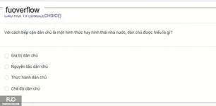 MLN131_-_SP_2025_-_BL3_-_Quiz1_3800.webp