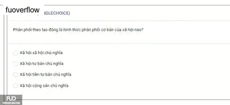 MLN131_-_SP_2025_-_BL3_-_Quiz1_3800.webp