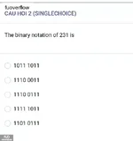 MAD101_-_SP_2025_-_BL3_-_Quiz2_3802.webp